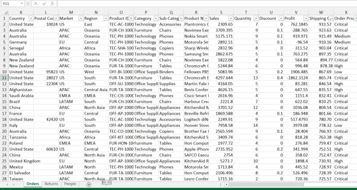 Excel File