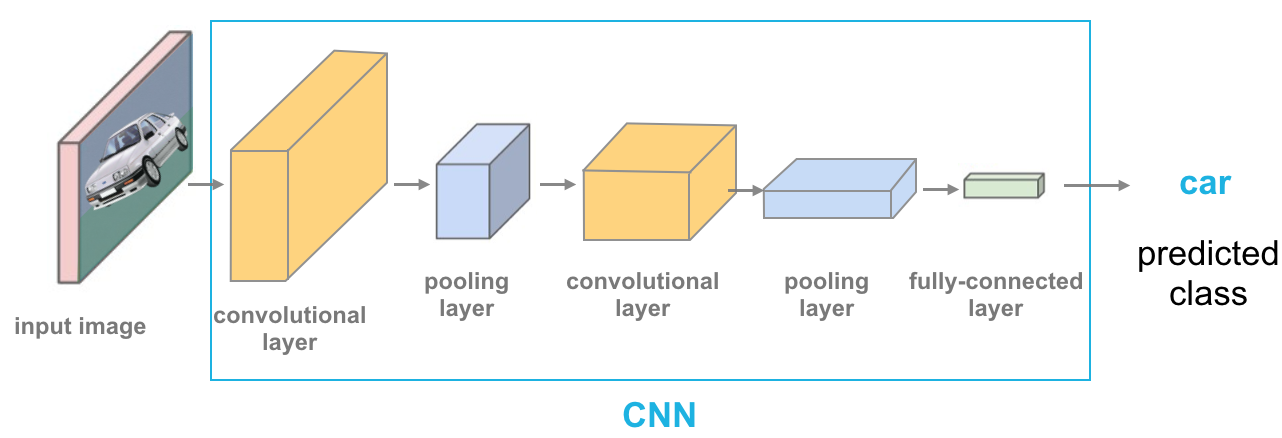 Applications of Convolutional Neural Networks predicted class