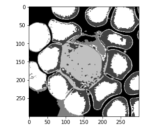 Apply k-means Clustering on the Image 2