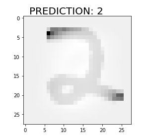 Predict using the models tflearn