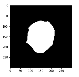 Data Preprocessing