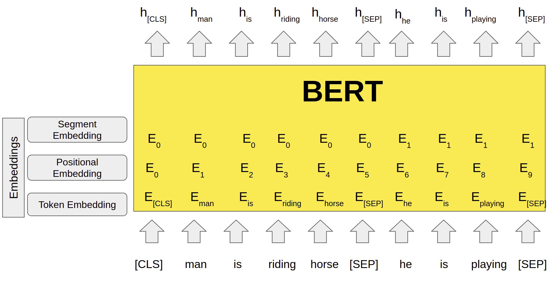 BERT Input-Output Format