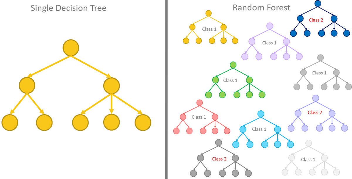 random forest machine learning