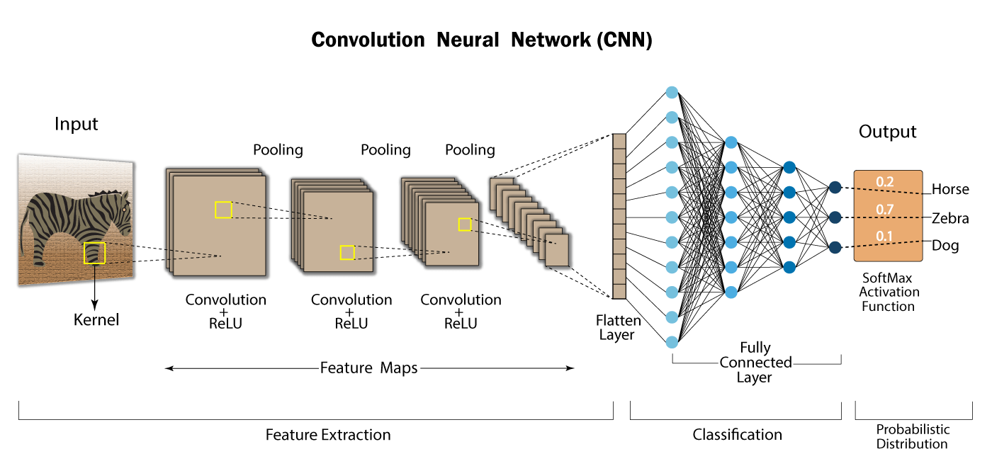 اصول CNN