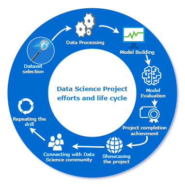 Data Science Project Effort and Life Cycle