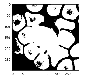 Apply the Right Threshold