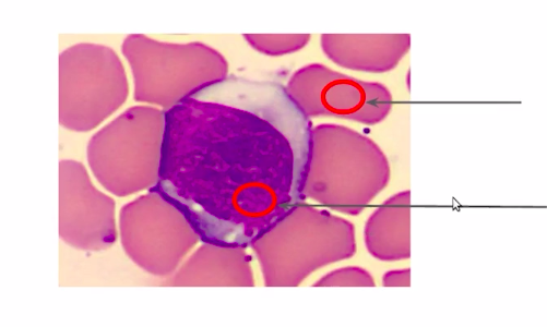 Simple Methods (Clustering)