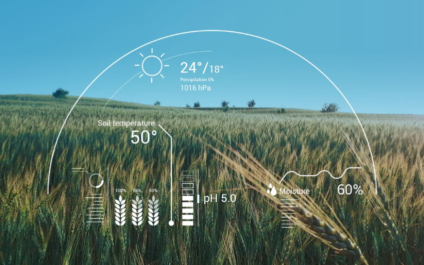 Use of AI to tackle problems in agriculture