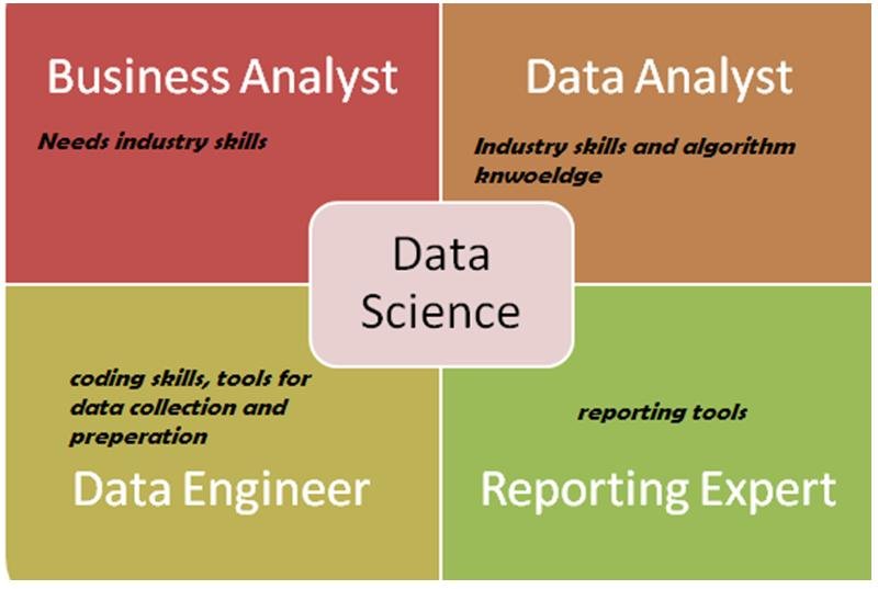 Business Analyst vs Data Analyst: Which Profile Should You Choose?