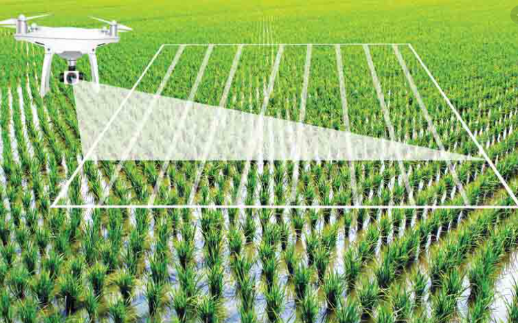 Soil Monitoring using drones