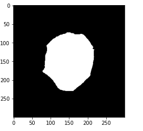 Data Preprocessing